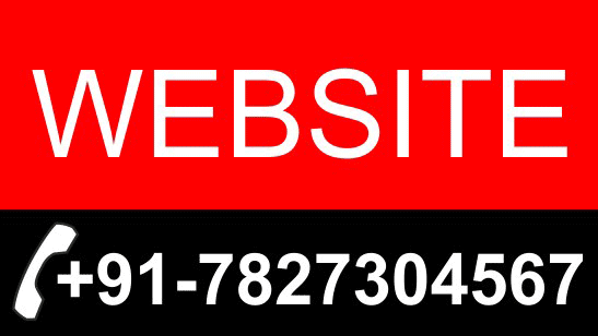 Websites/Applications